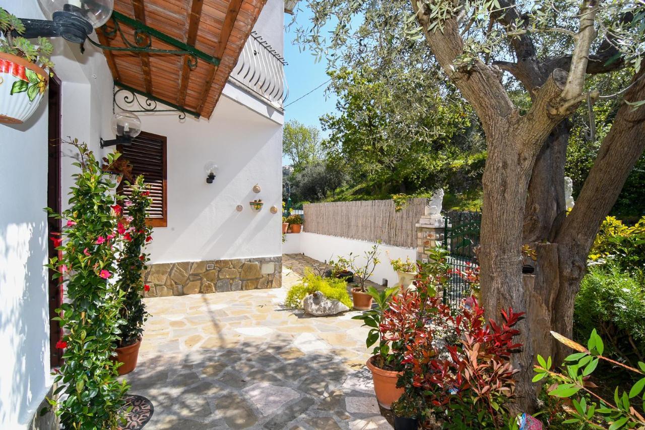 Amore Rentals - Casa Tatano Marciano Exterior photo